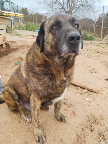 Mingo & Rib&oacute; (conjunta)