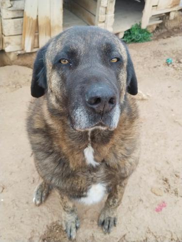 Mingo & Rib&oacute; (conjunta)