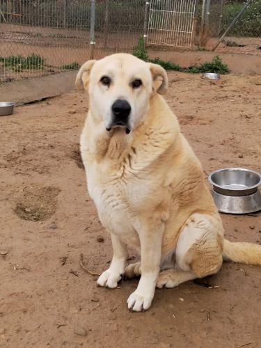 Mingo & Rib&oacute; (conjunta)