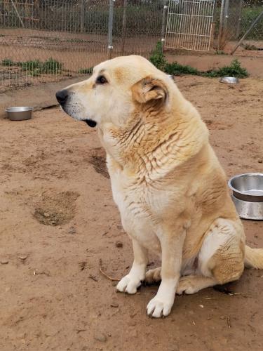 Mingo & Rib&oacute; (conjunta)