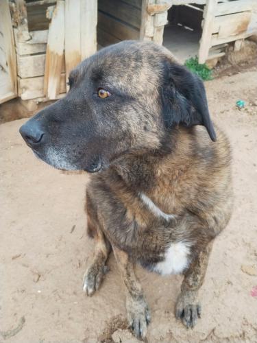 Mingo & Rib&oacute; (conjunta)