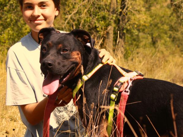 Shanti & Sid (conjunta)