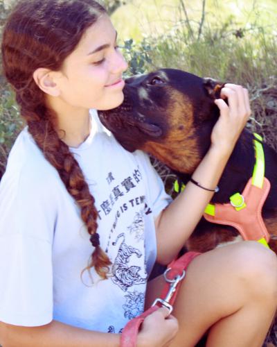 Shanti & Sid (conjunta)